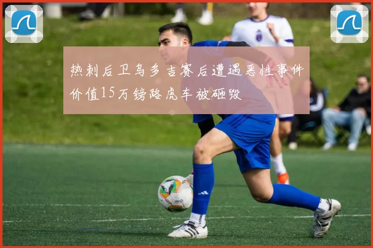 热刺后卫乌多吉赛后遭遇恶性事件价值15万镑路虎车被砸毁